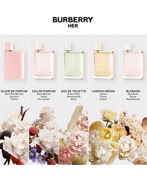 macy's perfume for women burberry|burberry her eau toilette 2022.